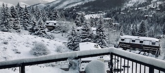 Family Vacation Home: West Vail. Mountain View.