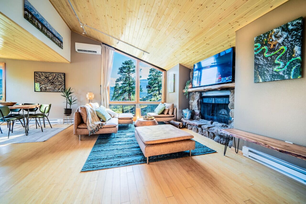 TV, fireplace, video games, books