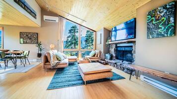 TV, fireplace, video games, books