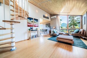 TV, fireplace, video games, books