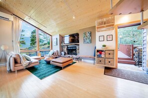 TV, fireplace, video games, books