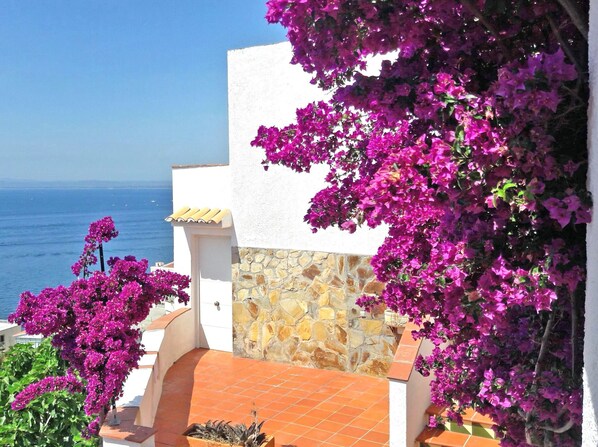 Property grounds - Lovely seaview studio and large terrace 5m from the beach - Casa ArteVida (Roses)