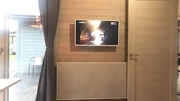 Televisie