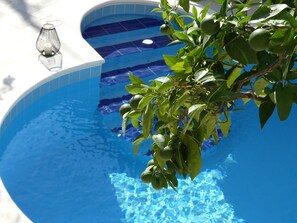 A swimming pool with clear blue water, surrounded by lush green foliage and a decorative glass lantern.