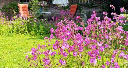 to relax in a beautiful setting with nature, quietness and privacy