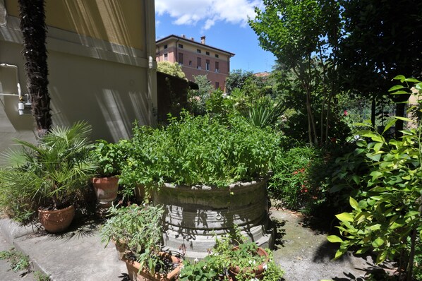 Un patio con plantas en macetas, una fuente de piedra y un edificio al fondo.