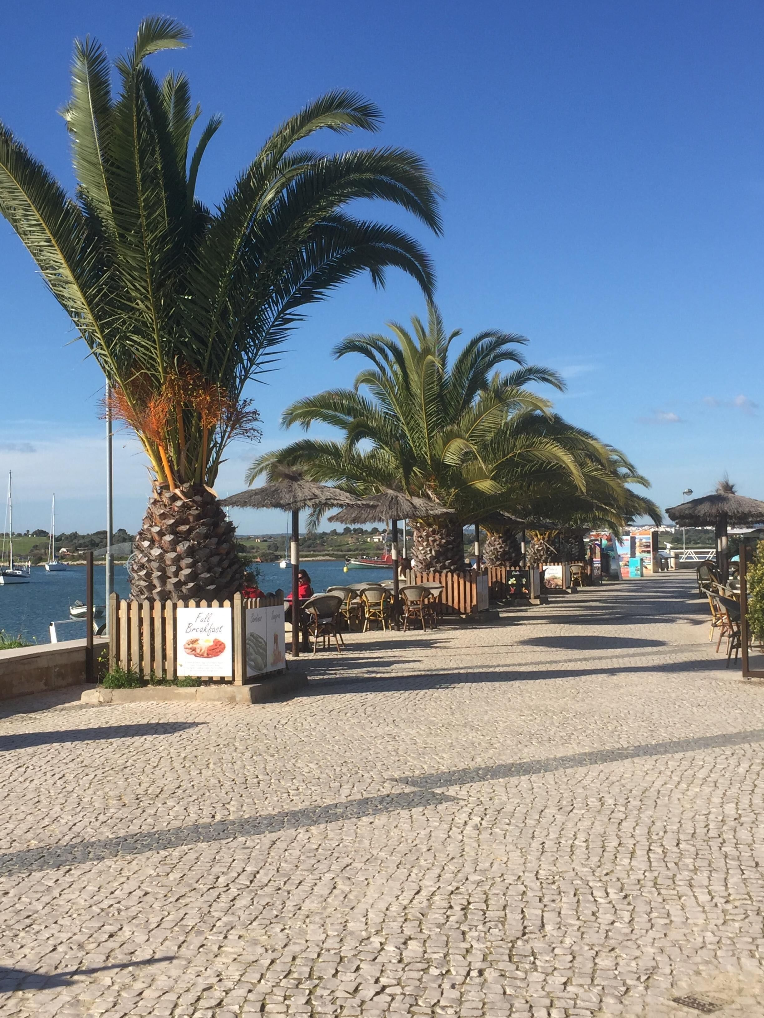Une promenade dallée bordée de palmiers et dotée de sièges extérieurs, qui mène à une zone riveraine où sont amarrés des bateaux.
