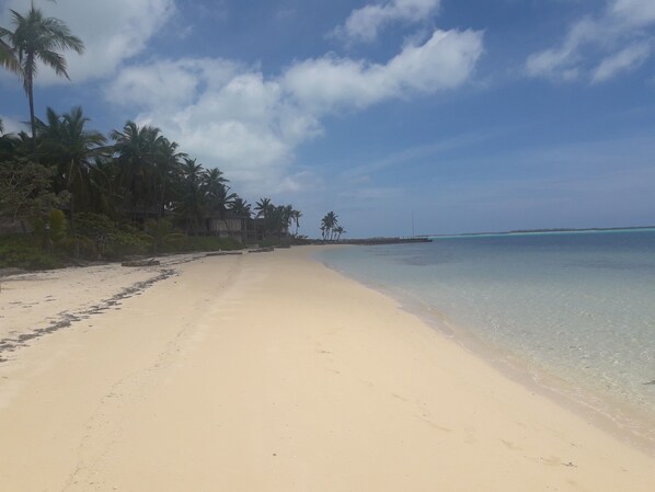 Beach - Coral Breeze - Spectacular views spacious layout!!! (George Town)