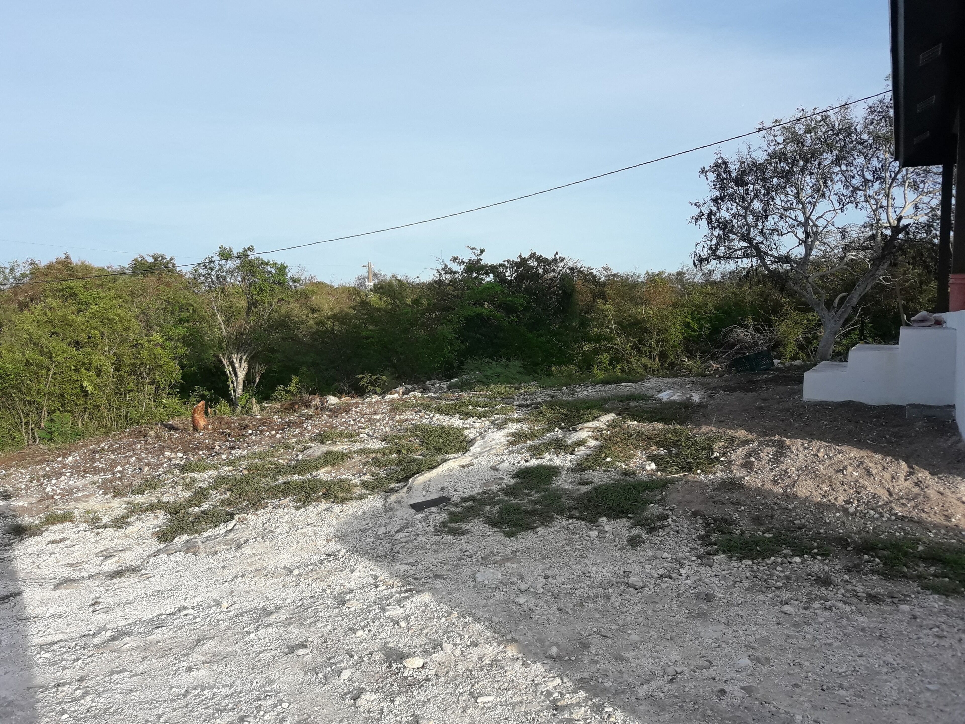 Área da propriedade