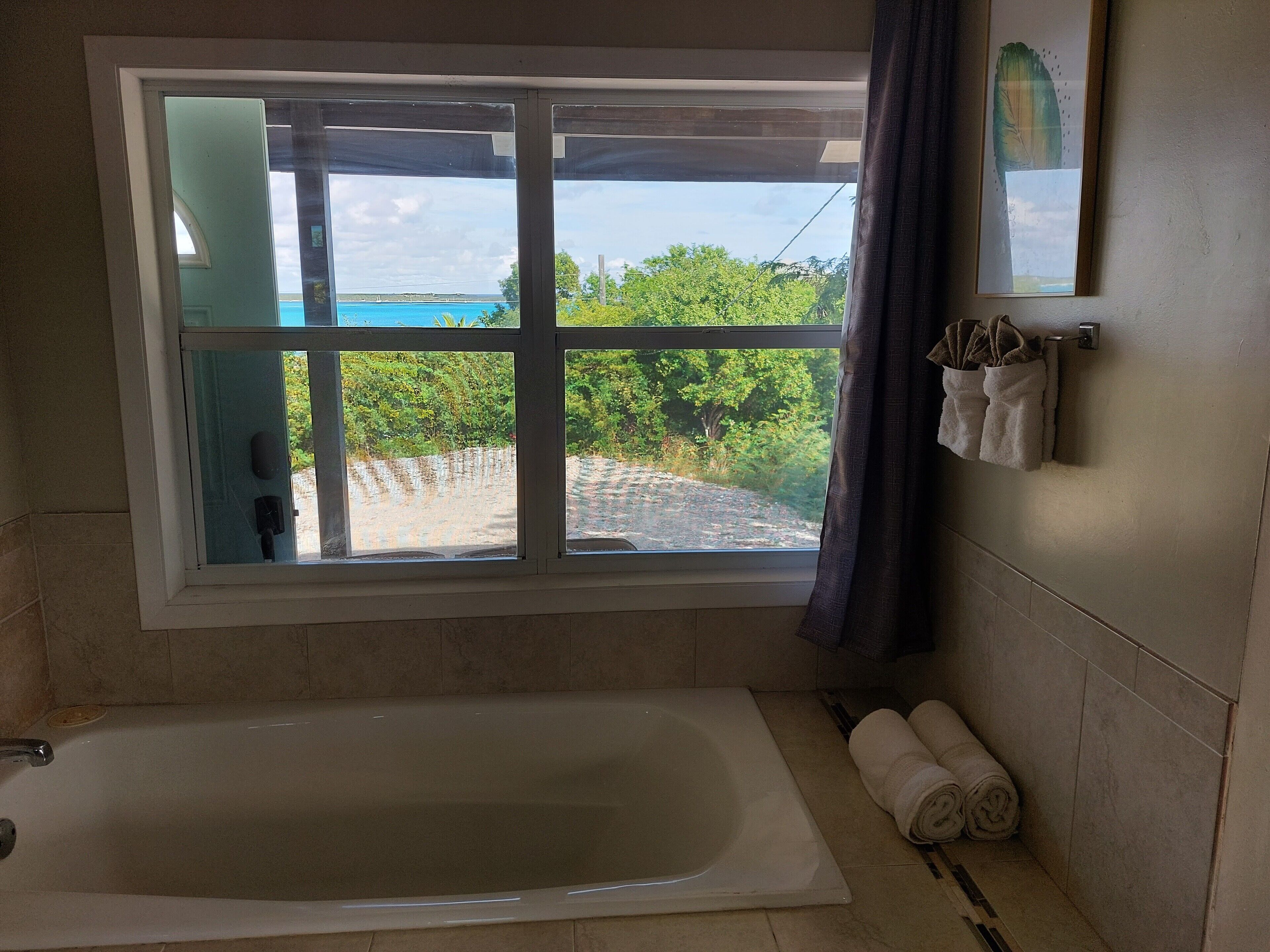 Un baño con bañera, una ventana que da a zonas verdes y un cuerpo de agua, y toallas en la pared.