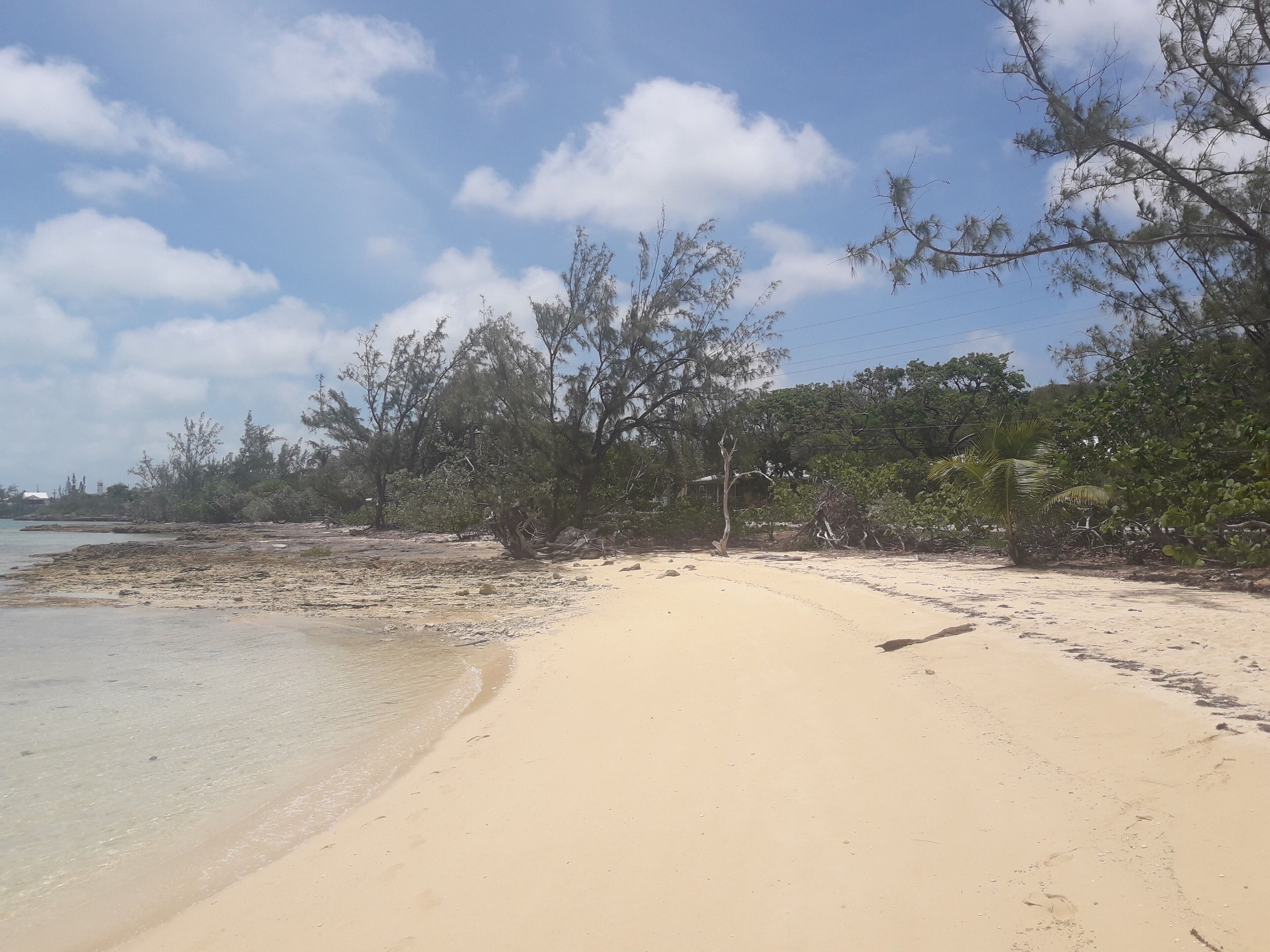 Een zandstrand met schaarse begroeiing en een heldere lucht.
