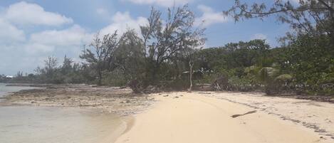 Een zandstrand met schaarse begroeiing en een heldere lucht.