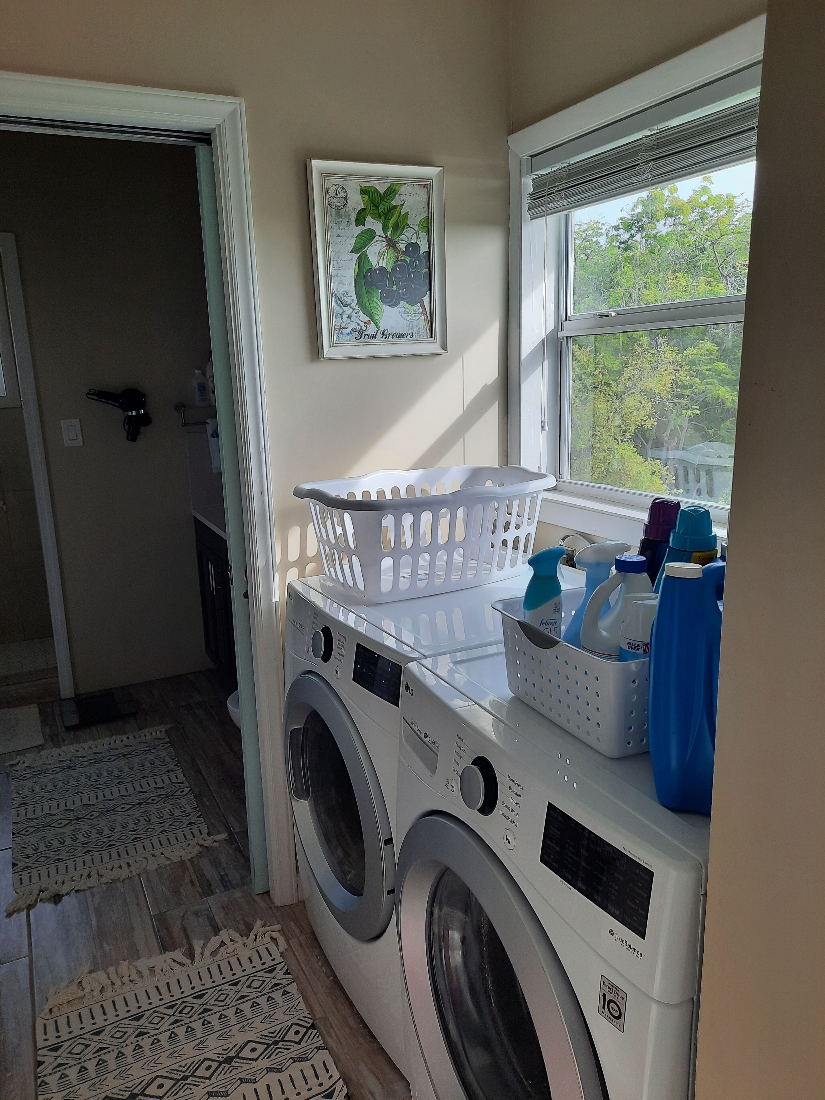 Un espace buanderie comprenant un lave-linge, un étendoir et une fenêtre donnant sur des arbres.