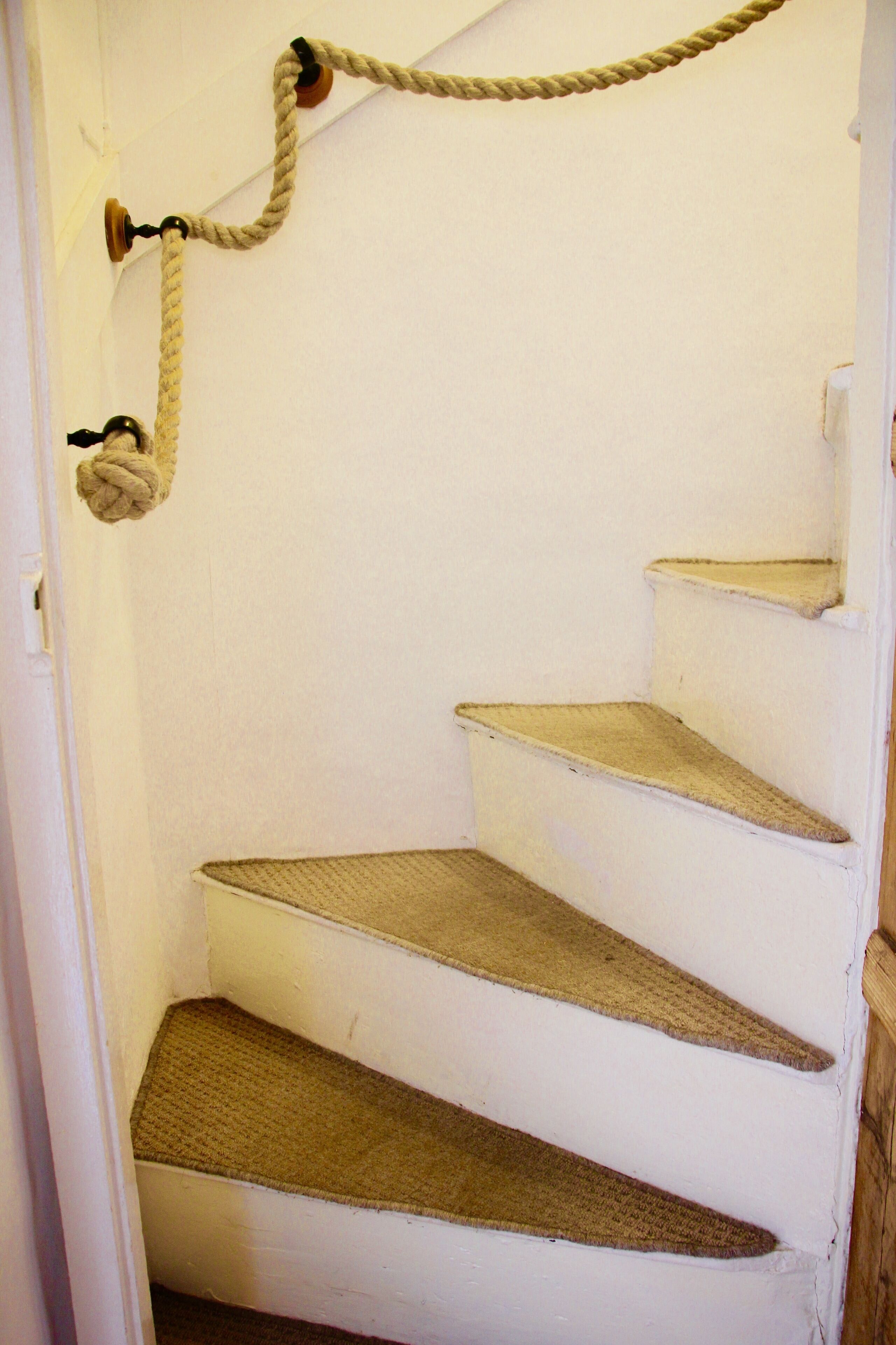 A set of carpeted stairs with a rope toy hanging from the top.