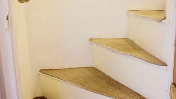 A set of carpeted stairs with a rope toy hanging from the top.