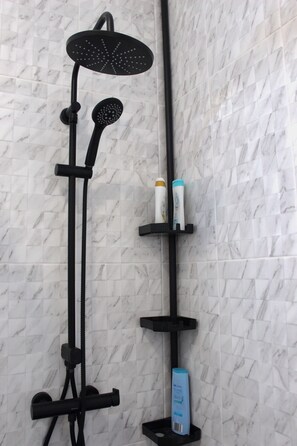 Combined shower/tub, hair dryer, bidet, towels