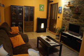 Télévision, cheminée, livres, chaîne hi-fi