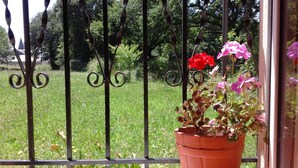 A potted plant with flowers on a balcony railing. - House of Corbelle, in Galicia, Spain. Ideal for families and pets. (Muimenta)