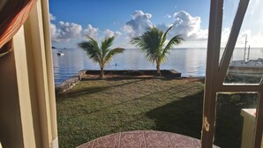 Une vue depuis une fenêtre donnant sur une mer calme, avec deux palmiers, une zone herbeuse et un quai pour bateaux.