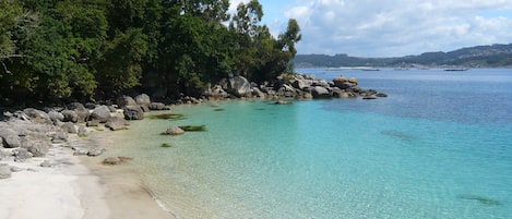 Playa en los alrededores y camastros 