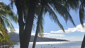 A beach with palm trees, a volleyball net, and a boat in the water.