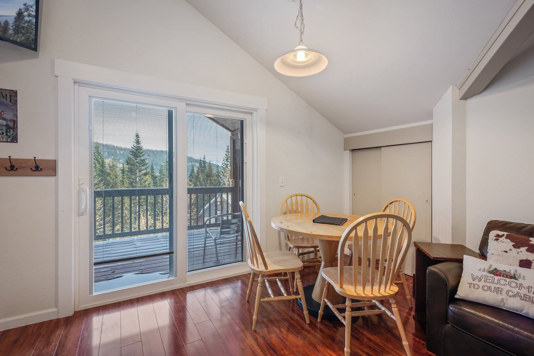 智能电视、DVD 播放器、乒乓球、书