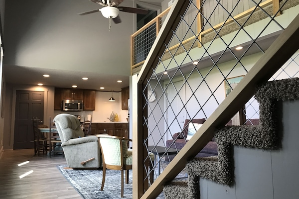 Télévision, livres