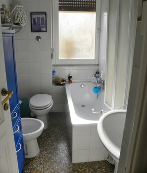 Combined shower/tub, hair dryer, bidet, towels