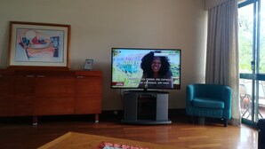 TV og DVD-spiller