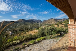 Vista desde la propiedad