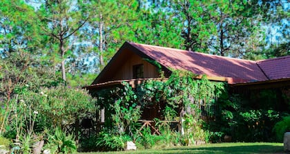 Belle cabane sur une forêt incroyable à Perquin