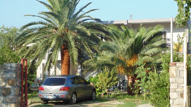 Une voiture est garée devant un immeuble, avec des palmiers et un mur de pierre en arrière-plan.