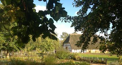 Vacation home Mecklenburgische Kleinseenplatte - on the lake & in a quiet location