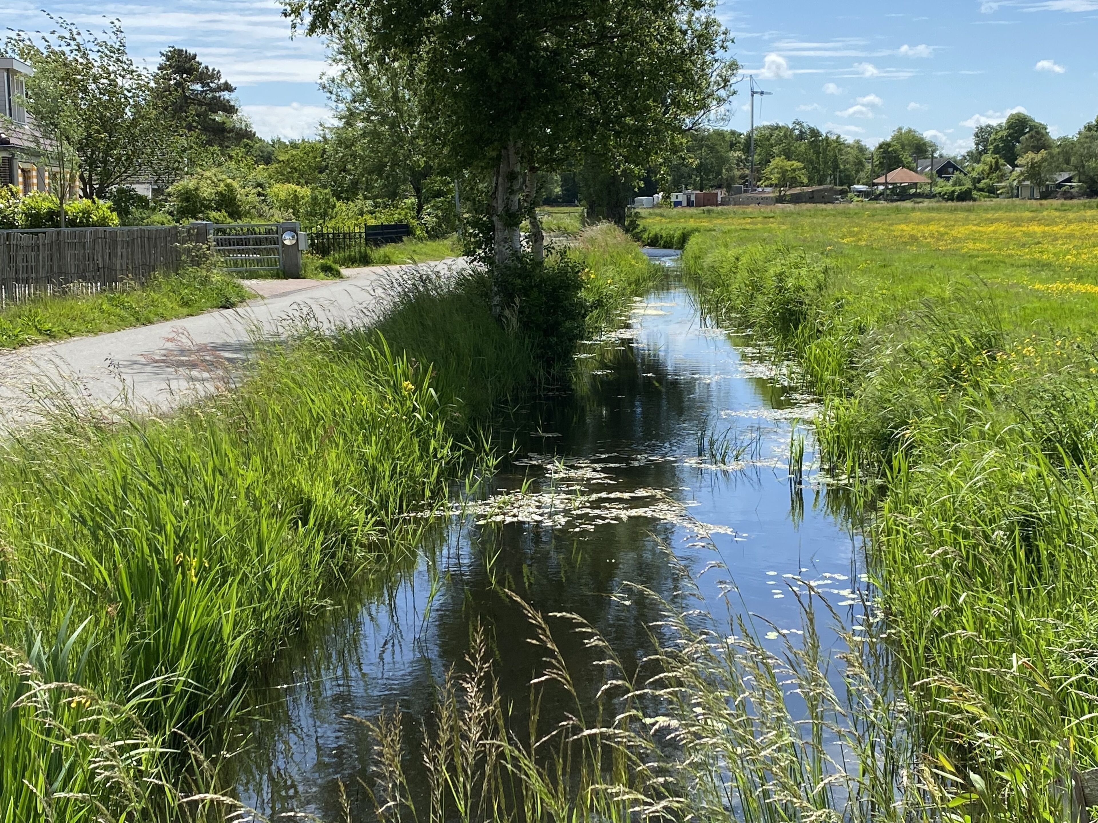 Terrein van de accommodatie