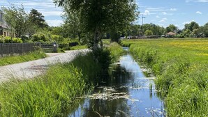 A narrow waterway flanked by tall grasses and a wooden fence. - Cozy bungalow in rural area near beautiful dunes, beach and sea. (Schoorldam)