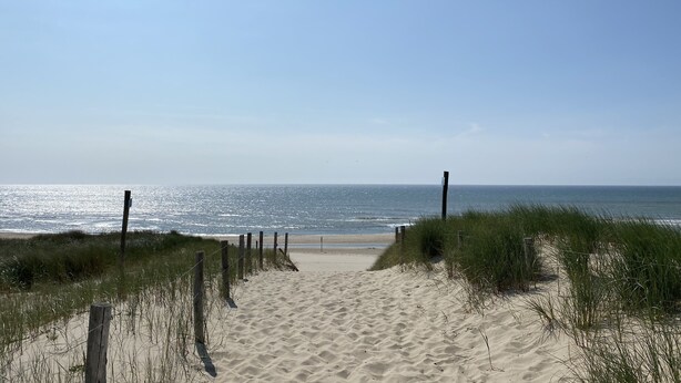 A sandy beach path leading to the ocean, bordered by grass and wooden posts. - Cozy bungalow in rural area near beautiful dunes, beach and sea. (Schoorldam)