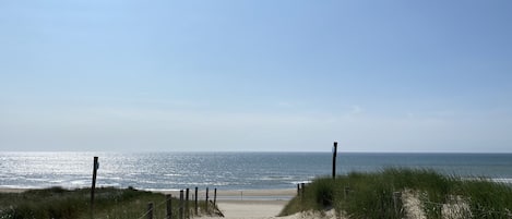 Una spiaggia nelle vicinanze, lettini da mare