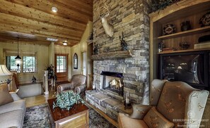 Smart TV, chimenea, reproductor de DVD y libros 