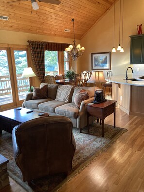 Smart TV, chimenea, reproductor de DVD y libros 