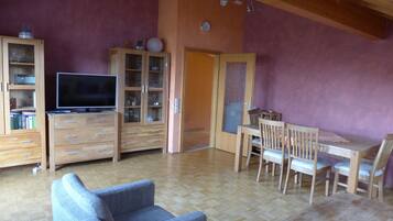 TV, video games, DVD player, books