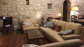 Televisie, een open haard, een tafeltennistafel en boeken