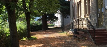 MARA MELAZZO'S STORY