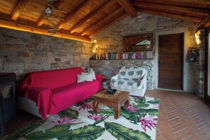 Smart-tv, eldstad, böcker och ett filmbibliotek