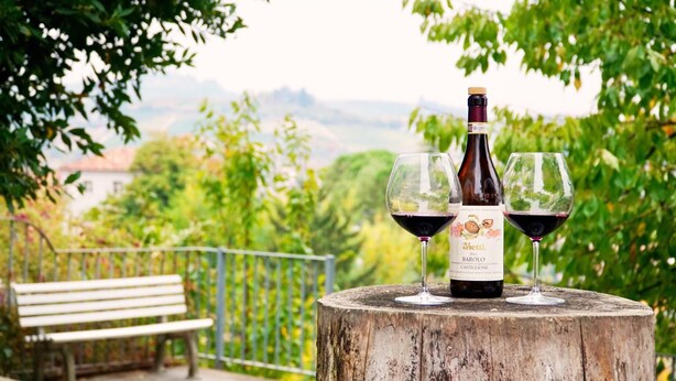 Una botella de vino y dos copas sobre un tocón de árbol, con un banco y follaje al fondo.
