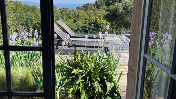 Vista a través de una ventana de un área de terraza con sillones de descanso y un jardín exuberante.