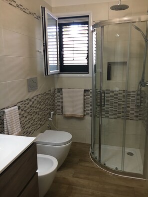 Shower, hair dryer, bidet, towels