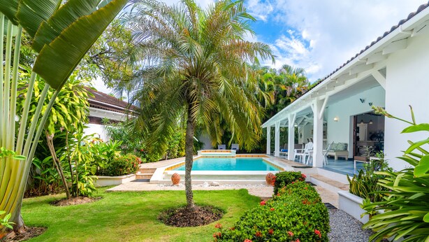 Un espace piscine agrémenté d’un palmier, un bâtiment blanc doté d’un patio couvert et une végétation luxuriante.