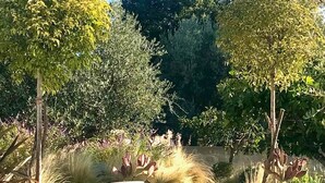 Un jardín con escalones de piedra que conducen a un espacio de descanso, rodeado de diversas plantas y árboles.