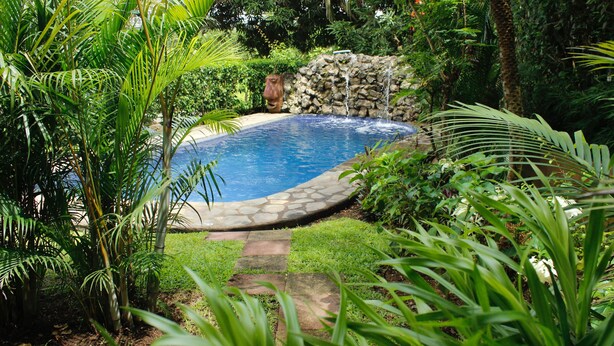 A swimming pool surrounded by lush greenery and a stone wall.