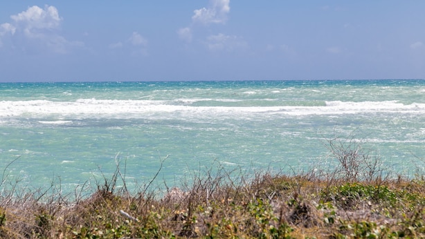 Blick auf die Küste mit klarem, türkisblauem Wasser und einem grasbewachsen Vordergrund.